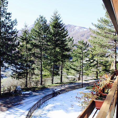 Hotel Orso Bianco ペスカッセーロリ エクステリア 写真